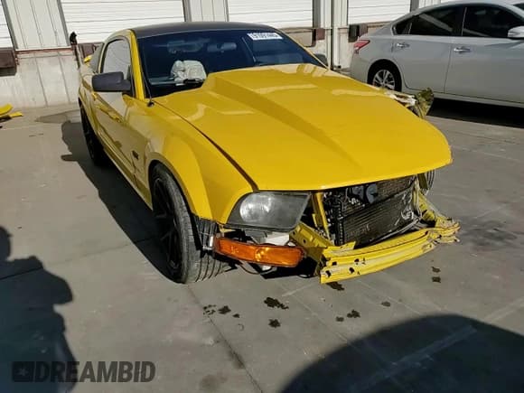 ✅ 2006 Ford Mustang GT Deluxe • VIN: 1ZVHT82H765184387 • Lot: 91091445. Listed on Copart with 193,576 mi. Free auction sales archive from the USA and detailed vehicle history report at DreamBid. Image 14.