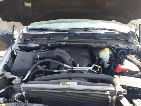 2016 Ram 1500 Big Horn with VIN 1C6RR7GT0GS257963, listed as a IAAI auction lot 42806701 with 132,461 mi miles and . Bid and sale history available at DreamBid. Image 10.