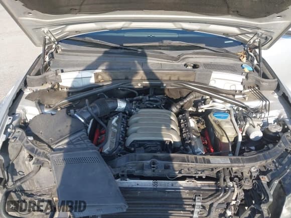 ✅ 2009 Audi Q5 Premium • VIN: WA1KK78R79A023355 • Lot: 42937994. Listed on IAAI with 127,965 mi. Free auction sales archive from the USA and detailed vehicle history report at DreamBid. Image 10.