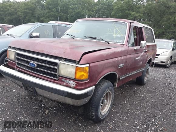 ✅ 1989 Ford Bronco • VIN: 1FMEU15H4KLA31618 • Lot: 43315615. Listed on IAAI with Not provided. Free auction sales archive from the USA and detailed vehicle history report at DreamBid. Image 2.