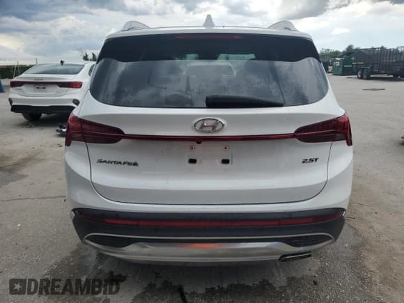 ✅ 2023 Hyundai Santa Fe Limited • VIN: 5NMS44AL0PH522974 • Lot: 60760934. Wystawiony na Copart z przebiegiem 42 467 mil. Bezpłatny archiwum sprzedaży aukcyjnych z USA i szczegółowy raport historii pojazdu na DreamBid. Zdjęcie 6.