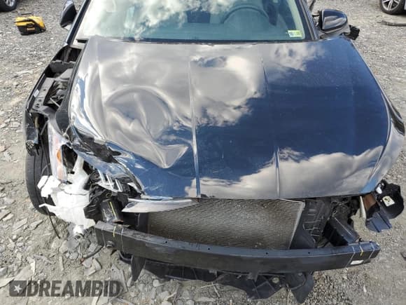 ✅ 2019 Hyundai Elantra Limited • VIN: KMHD84LF4KU871587 • Lot: 87272565. Listed on Copart with 43,366 mi. Free auction sales archive from the USA and detailed vehicle history report at DreamBid. Image 11.