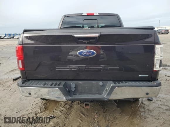 ✅ 2019 Ford F-150 Lariat • VIN: 1FTEW1E46KFB12436 • Lot: 82303195. Listed on Copart with 49,890 mi. Free auction sales archive from the USA and detailed vehicle history report at DreamBid. Image 6.