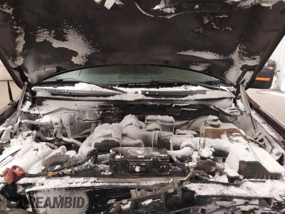 ✅ 2009 Ford F-150 XL • VIN: 1FTPW14V19FA15416 • Lot: 41203618. Listed on IAAI with 135,758 mi. Free auction sales archive from the USA and detailed vehicle history report at DreamBid. Image 10.