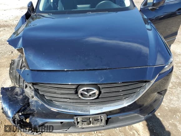 ✅ 2016 Mazda CX-9 Sport • VIN: JM3TCBBY6G0115870 • Lot: 84369015. Wystawiony na Copart z przebiegiem 130 084 mil. Bezpłatny archiwum sprzedaży aukcyjnych z USA i szczegółowy raport historii pojazdu na DreamBid. Zdjęcie 12.