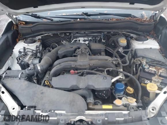 ✅ 2014 Subaru Forester Touring • VIN: JF2SJAPC5EH425252 • Lot: 43847572. Listed on IAAI with 213,349 mi. Free auction sales archive from the USA and detailed vehicle history report at DreamBid. Image 10.