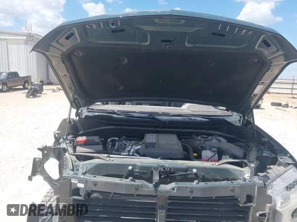 ✅ 2025 Chevrolet Silverado 1500 LT Trail Boss • VIN: 3GCUKFE87SG162686 • Lot: 43103112. Wystawiony na IAAI z przebiegiem 4 269 mil. Bezpłatny archiwum sprzedaży aukcyjnych z USA i szczegółowy raport historii pojazdu na DreamBid. Zdjęcie 10.