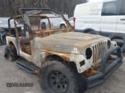 ✅ 1997 Jeep Wrangler SE • VIN: 1J4FY29P4VP542533 • Lot: 43603219. Wystawiony na IAAI z przebiegiem 145 000 mil. Bezpłatny archiwum sprzedaży aukcyjnych z USA i szczegółowy raport historii pojazdu na DreamBid. Zdjęcie 1.
