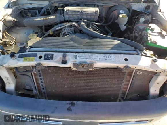 1999 Dodge 1500 с VIN 1B7HF13Z7XJ550849, выставлен на аукционе Copart как лот 81405834 с пробегом Не указан миль и Списание • Salvage title. История ставок и продаж доступна на DreamBid. Изображение 11.