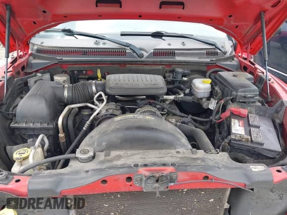 2008 Dodge Dakota Bighorn/Lonestar with VIN 1D7HE38K68S561918, listed as a IAAI auction lot 42488556 with 198,422 mi miles and . Bid and sale history available at DreamBid. Image 10.