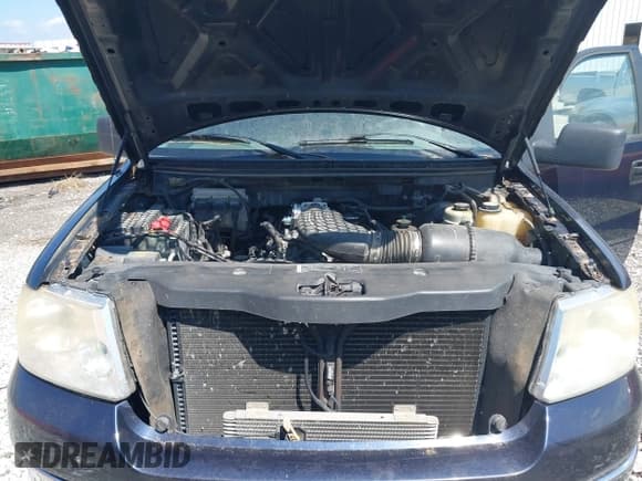 ✅ 2005 Ford F-150 STX • VIN: 1FTRX14W75FA02307 • Lot: 43018761. Listed on IAAI with 196,093 mi. Free auction sales archive from the USA and detailed vehicle history report at DreamBid. Image 10.