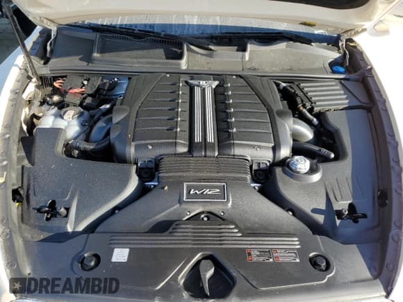 ✅ 2021 Bentley Bentayga Speed • VIN: SJAAR2ZV1MC038279 • Lot: 75237294. Listed on Copart with Not provided. Free auction sales archive from the USA and detailed vehicle history report at DreamBid. Image 11.