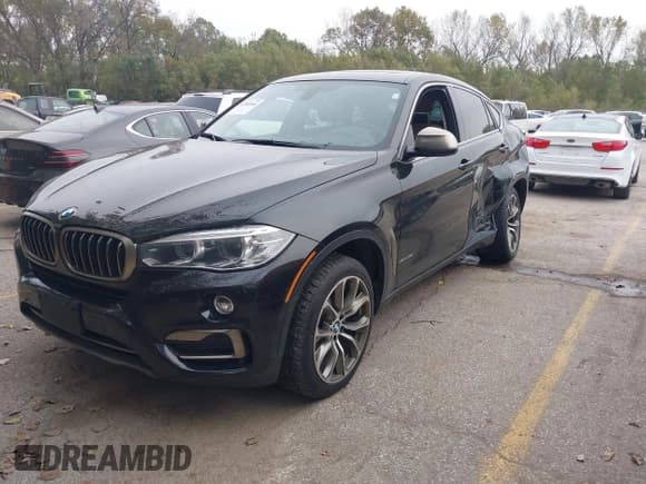 ✅ 2017 BMW X6 xDrive35i • VIN: 5UXKU2C38H0X47810 • Lot: 43588066. Wystawiony na IAAI z przebiegiem 78 570 mil. Bezpłatny archiwum sprzedaży aukcyjnych z USA i szczegółowy raport historii pojazdu na DreamBid. Zdjęcie 18.