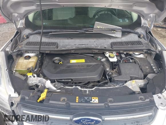 ✅ 2014 Ford Escape SE • VIN: 1FMCU9GXXEUB42277 • Лот: 43339526. Опубликован ранее на IAAI с пробегом 146 558 миль. Бесплатный доступ к архиву аукционных продаж из США и подробный отчёт об истории автомобиля на DreamBid. Изображение 10.