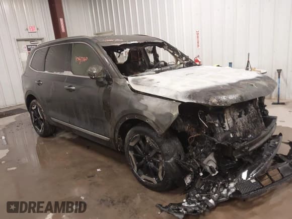 ✅ 2024 Kia Telluride S • VIN: 5XYP6DGC0RG520064 • Lot: 43647160. Listed on IAAI with 37,801 mi. Free auction sales archive from the USA and detailed vehicle history report at DreamBid. Image 1.