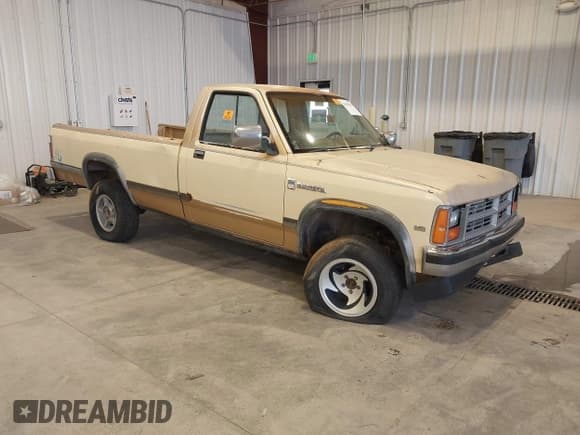 ✅ 1987 Dodge Dakota • VIN: 1B7GR14M4HS512318 • Lot: 43295833. Wystawiony na IAAI z przebiegiem 185 450 mil. Bezpłatny archiwum sprzedaży aukcyjnych z USA i szczegółowy raport historii pojazdu na DreamBid. Zdjęcie 1.