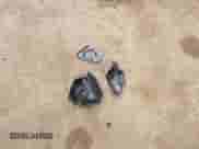 2025 Jeep Compass Latitude z VIN 3C4NJDBN0ST586904, wystawiony jako IAAI lot #42896513 z przebiegiem 4 100 mil mil oraz . Historia ofert i sprzedaży dostępna na DreamBid. Obrazek 12.