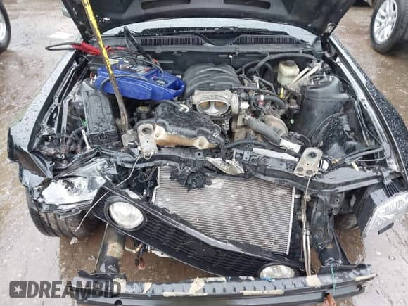 ✅ 2006 Ford Mustang GT Deluxe • VIN: 1ZVFT82H365134464 • Lot: 42193109. Listed on IAAI with 174,053 mi. Free auction sales archive from the USA and detailed vehicle history report at DreamBid. Image 10.