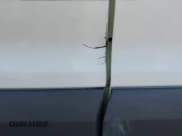 ✅ 2017 Ford Transit XL • VIN: 1FBZX2ZM8HKA10722 • Lot: 42993074. Wystawiony na IAAI z przebiegiem 150 411 mil. Bezpłatny archiwum sprzedaży aukcyjnych z USA i szczegółowy raport historii pojazdu na DreamBid. Zdjęcie 19.