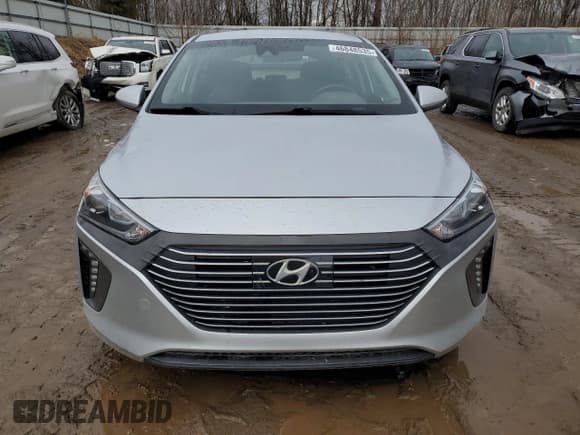 ✅ 2019 Hyundai Ioniq SEL • VIN: KMHC75LC3KU137470 • Lot: 46848535. Wystawiony na Copart z przebiegiem 178 001 mil. Bezpłatny archiwum sprzedaży aukcyjnych z USA i szczegółowy raport historii pojazdu na DreamBid. Zdjęcie 5.