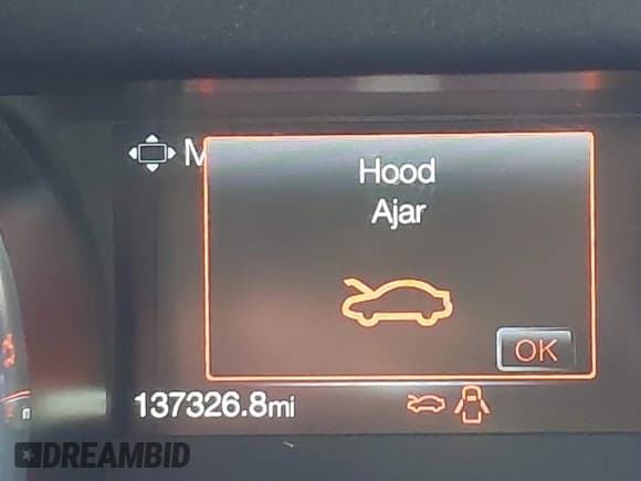 ✅ 2019 Ford Mustang EcoBoost • VIN: 1FA6P8TH5K5200793 • Lot: 43639634. Wystawiony na IAAI z przebiegiem 137 326 mil. Bezpłatny archiwum sprzedaży aukcyjnych z USA i szczegółowy raport historii pojazdu na DreamBid. Zdjęcie 16.