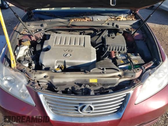 2007 Lexus ES 330 with VIN JTHBJ46G072106172, listed as a IAAI auction lot 43588621 with 196,395 mi miles and . Bid and sale history available at DreamBid. Image 10.