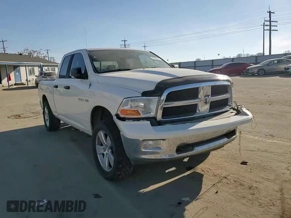 ✅ 2009 Dodge 1500 SLT • VIN: 1D3HV18TX9S743363 • Lot: 42205625. Wystawiony na Copart z przebiegiem 164 379 mil. Bezpłatny archiwum sprzedaży aukcyjnych z USA i szczegółowy raport historii pojazdu na DreamBid. Zdjęcie 11.