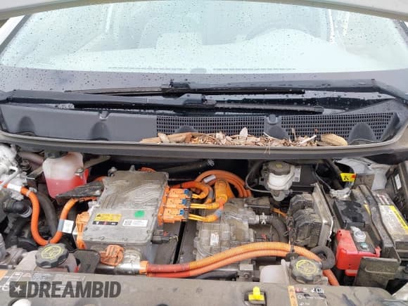 ✅ 2017 Chevrolet Bolt EV Premier • VIN: 1G1FX6S02H4134494 • Lot: 41761891. Wystawiony na IAAI z przebiegiem 123 033 mil. Bezpłatny archiwum sprzedaży aukcyjnych z USA i szczegółowy raport historii pojazdu na DreamBid. Zdjęcie 10.