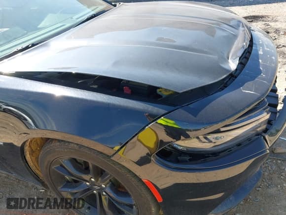 ✅ 2018 Dodge Charger R/T • VIN: 2C3CDXCT8JH134904 • Lot: 43034340. Wystawiony na IAAI z przebiegiem 121 551 mil. Bezpłatny archiwum sprzedaży aukcyjnych z USA i szczegółowy raport historii pojazdu na DreamBid. Zdjęcie 17.