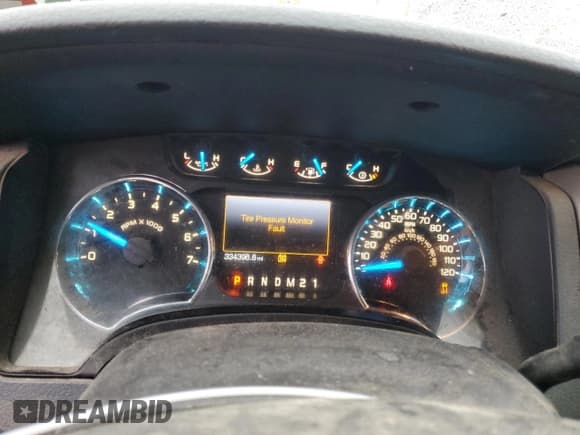 ✅ 2013 Ford F-150 XL • VIN: 1FTEX1EM5DFD29878 • Lot: 93026555. Listed on Copart with 334,396 mi. Free auction sales archive from the USA and detailed vehicle history report at DreamBid. Image 9.