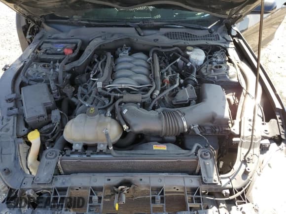 ✅ 2020 Ford Mustang GT Premium • VIN: 1FA6P8CF3L5115323 • Lot: 80403365. Listed on Copart with 101,169 mi. Free auction sales archive from the USA and detailed vehicle history report at DreamBid. Image 11.