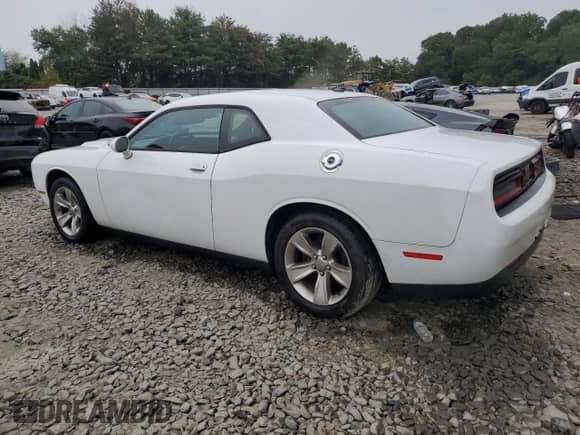 2016 Dodge Challenger SXT Plus с VIN 2C3CDZAG3GH158490, выставлен на аукционе Copart как лот 67958405 с пробегом 124 425 миль миль и Списание • Salvage title. История ставок и продаж доступна на DreamBid. Изображение 2.
