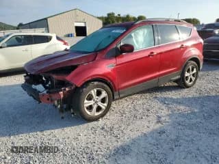 ✅ 2014 Ford Escape SE • VIN: 1FMCU0GX7EUA75536 • Lot: 80111335. Wystawiony na Copart z przebiegiem Nie podano. Bezpłatny archiwum sprzedaży aukcyjnych z USA i szczegółowy raport historii pojazdu na DreamBid. Zdjęcie 1.