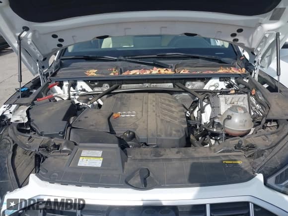 ✅ 2021 Audi Q5 Premium Plus • VIN: WA1BAAFY0M2009066 • Lot: 43525609. Listed on IAAI with 43,902 mi. Free auction sales archive from the USA and detailed vehicle history report at DreamBid. Image 10.