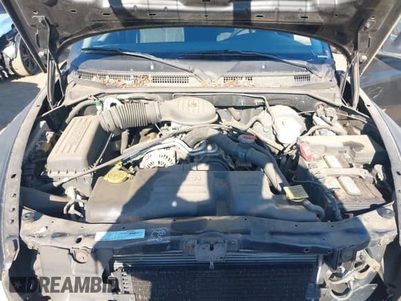 ✅ 2001 Dodge Dakota • VIN: 1B7GL22X11S307842 • Lot: 41484381. Wystawiony na IAAI z przebiegiem 154 012 mil. Bezpłatny archiwum sprzedaży aukcyjnych z USA i szczegółowy raport historii pojazdu na DreamBid. Zdjęcie 10.