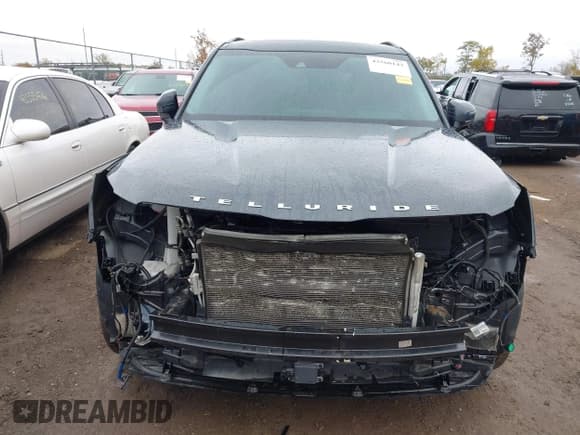 ✅ 2022 Kia Telluride SX • VIN: 5XYP54HC9NG210457 • Lot: 43560143. Wystawiony na IAAI z przebiegiem 106 567 mil. Bezpłatny archiwum sprzedaży aukcyjnych z USA i szczegółowy raport historii pojazdu na DreamBid. Zdjęcie 6.