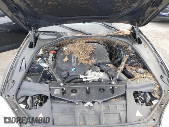 ✅ 2016 BMW 6 Series 640i • VIN: WBA6D0C55GG432720 • Lot: 76286604. Listed on Copart with Not provided. Free auction sales archive from the USA and detailed vehicle history report at DreamBid. Image 11.