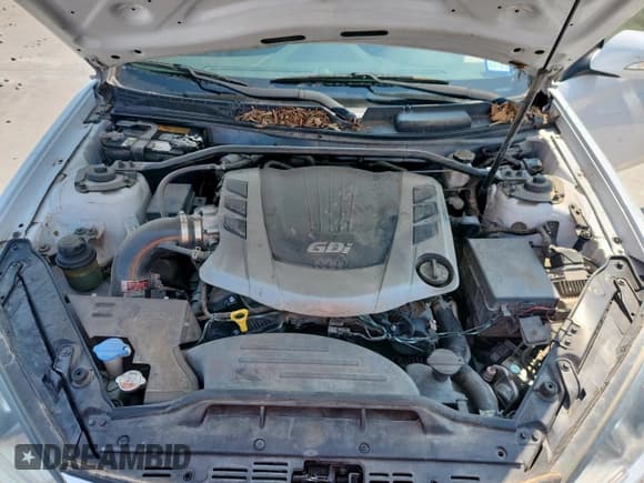 ✅ 2015 Hyundai Genesis Coupe 3.8L Base • VIN: KMHHU6KJ9FU125432 • Lot: 69663625. Listed on Copart with 118,119 mi. Free auction sales archive from the USA and detailed vehicle history report at DreamBid. Image 11.