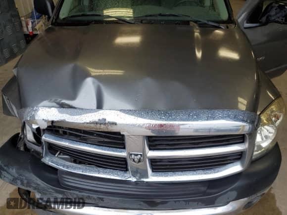 2007 Dodge 1500 ST z VIN 1D7HA18K87J598540, wystawiony jako Copart lot #71415414 z przebiegiem 177 415 mil mil oraz Szkoda całkowita • Salvage title. Historia ofert i sprzedaży dostępna na DreamBid. Obrazek 12.