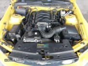 ✅ 2006 Ford Mustang GT Deluxe • VIN: 1ZVHT82H465140329 • Лот: 43529291. Опубликован ранее на IAAI с пробегом 217 608 миль. Бесплатный доступ к архиву аукционных продаж из США и подробный отчёт об истории автомобиля на DreamBid. Изображение 10.