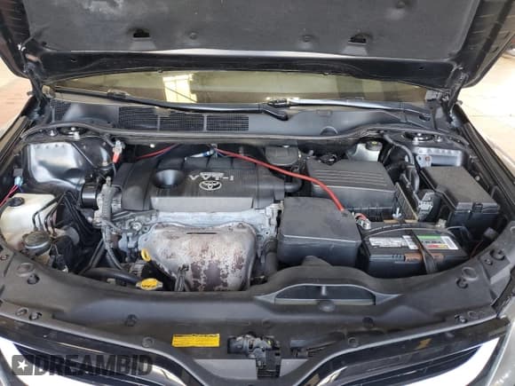 ✅ 2009 Toyota Venza • VIN: 4T3BE11A89U004586 • Lot: 80142265. Listed on Copart with 173,676 mi. Free auction sales archive from the USA and detailed vehicle history report at DreamBid. Image 11.