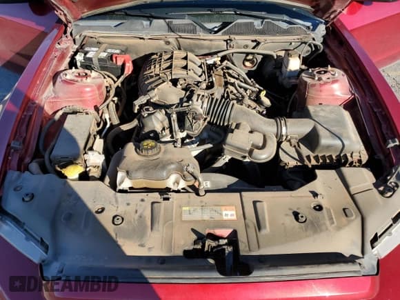 ✅ 2014 Ford Mustang V6 • VIN: 1ZVBP8AM5E5327893 • Lot: 86782205. Wystawiony na Copart z przebiegiem 95 108 mil. Bezpłatny archiwum sprzedaży aukcyjnych z USA i szczegółowy raport historii pojazdu na DreamBid. Zdjęcie 11.