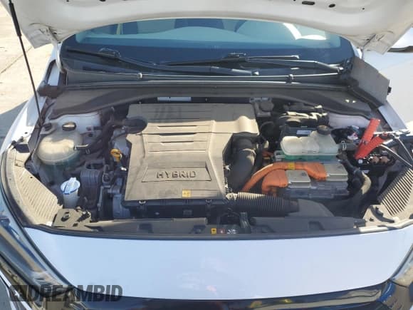 ✅ 2018 Hyundai Ioniq Blue • VIN: KMHC65LCXJU097213 • Lot: 87213254. Wystawiony na Copart z przebiegiem 43 880 mil. Bezpłatny archiwum sprzedaży aukcyjnych z USA i szczegółowy raport historii pojazdu na DreamBid. Zdjęcie 12.