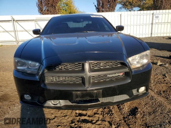 ✅ 2014 Dodge Charger RT Max • VIN: 2C3CDXDT2EH346816 • Lot: 87184335. Wystawiony na Copart z przebiegiem 181 652 mil. Bezpłatny archiwum sprzedaży aukcyjnych z USA i szczegółowy raport historii pojazdu na DreamBid. Zdjęcie 5.