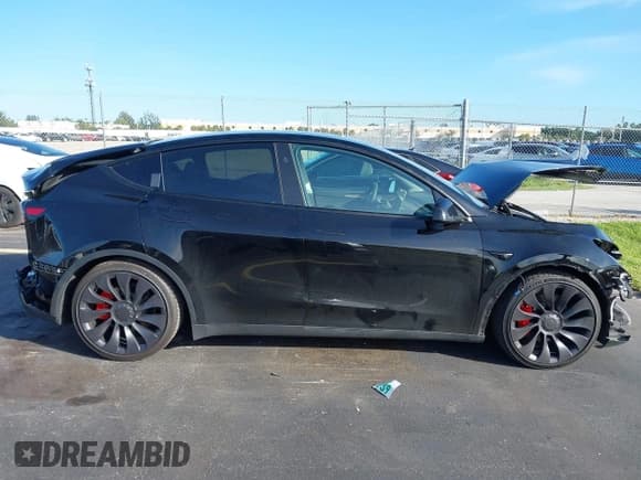 ✅ 2024 Tesla Model Y Performance • VIN: 7SAYGDEF7RF042587 • Lot: 43546539. Wystawiony na IAAI z przebiegiem 18 311 mil. Bezpłatny archiwum sprzedaży aukcyjnych z USA i szczegółowy raport historii pojazdu na DreamBid. Zdjęcie 14.