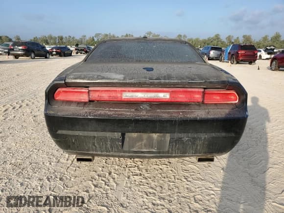 ✅ 2010 Dodge Challenger SE • VIN: 2B3CJ4DV2AH184041 • Lot: 78199344. Wystawiony na Copart z przebiegiem 225 838 mil. Bezpłatny archiwum sprzedaży aukcyjnych z USA i szczegółowy raport historii pojazdu na DreamBid. Zdjęcie 6.