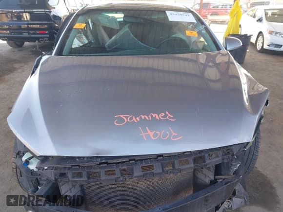 ✅ 2017 Hyundai Elantra SE • VIN: 5NPD84LF3HH040881 • Lot: 43450542. Listed on IAAI with 206,593 mi. Free auction sales archive from the USA and detailed vehicle history report at DreamBid. Image 10.