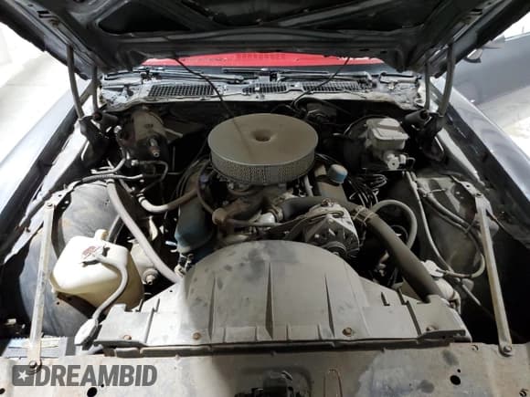 ✅ 1981 Pontiac Firebird • VIN: 1G2AS87A4BN117926 • Lot: 49288185. Wystawiony na Copart z przebiegiem 54 759 mil. Bezpłatny archiwum sprzedaży aukcyjnych z USA i szczegółowy raport historii pojazdu na DreamBid. Zdjęcie 11.