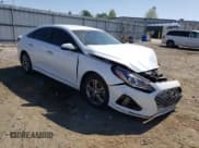 ✅ 2019 Hyundai Sonata SEL • VIN: 5NPE34AFXKH797080 • Lot: 49061903. Listed on Copart with 35,047 mi. Free auction sales archive from the USA and detailed vehicle history report at DreamBid. Image 4.