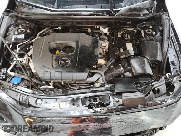 ✅ 2025 Mazda 3 S Preferred • VIN: 3MZBPACM1SM457888 • Лот: 86996495. Опубликован ранее на Copart с пробегом 16 959 миль. Бесплатный доступ к архиву аукционных продаж из США и подробный отчёт об истории автомобиля на DreamBid. Изображение 11.